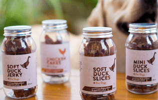 Packaging Design for Dog & Cat Treats Jar