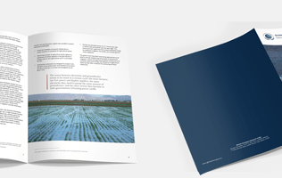 Annual Report Design